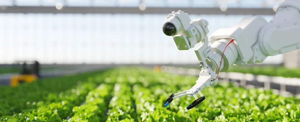 Agriculture & Smart Farming