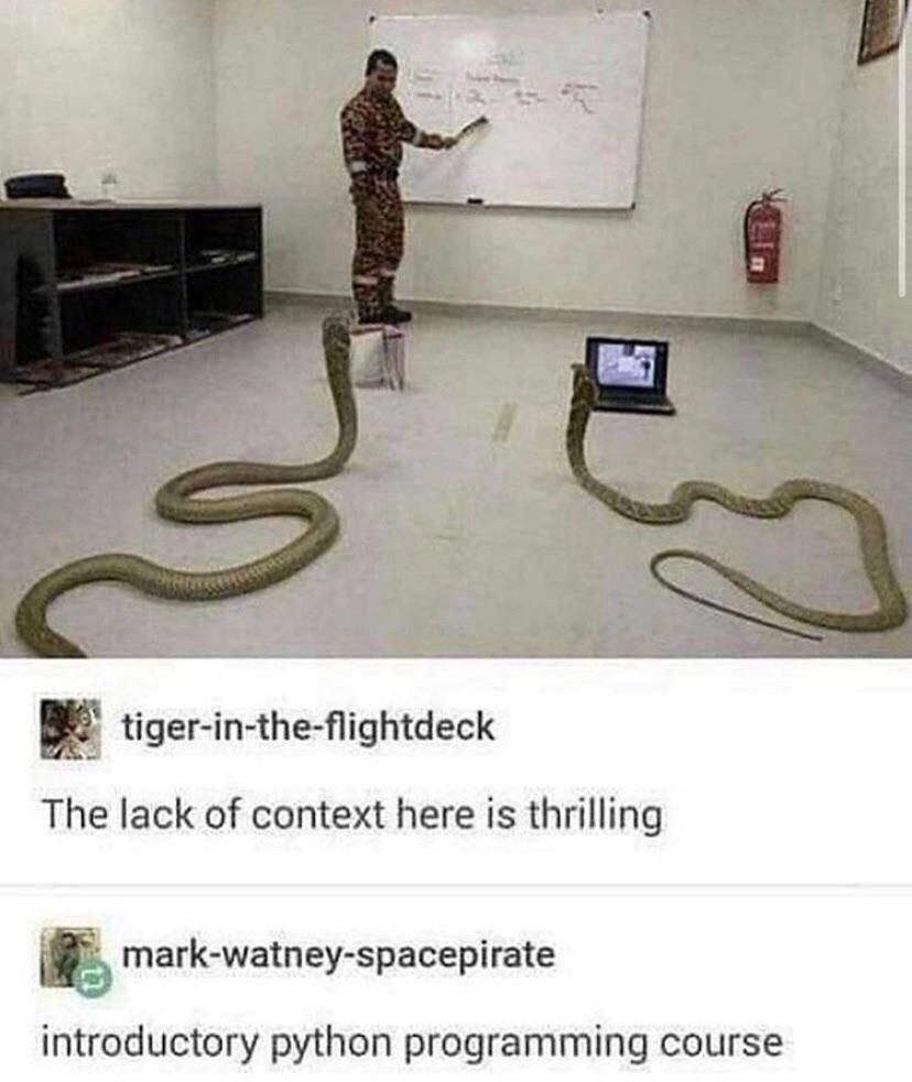 python programming meme