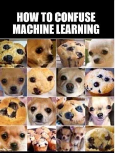 how to confuse AI meme 