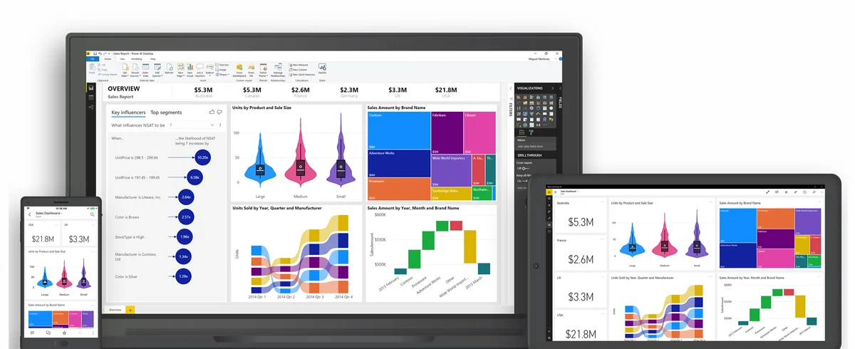 What Are the Various Versions of Power BI?